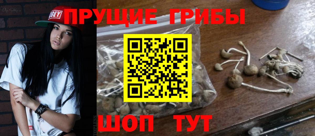 Галлюциногенные грибы мицелий Электрогорск